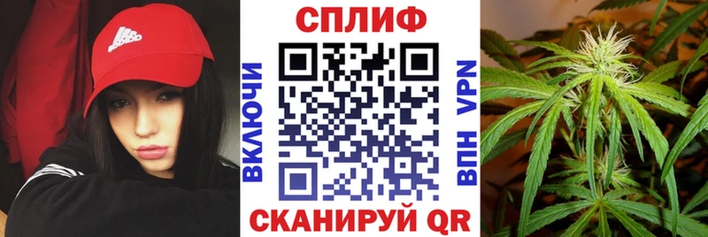 Конопля индика  что такое наркотик  Духовщина 